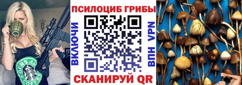 Купить  Еманжелинск  Галлюциногенные грибы Magic Shrooms 