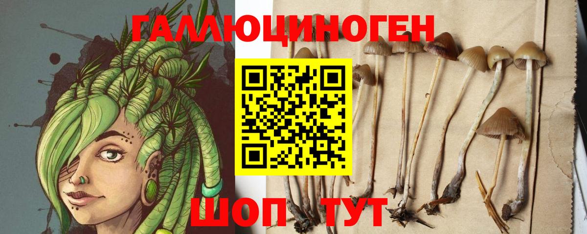 Псилоцибиновые грибы ЛСД  Еманжелинск  Псилоцибиновые грибы ЛСД 