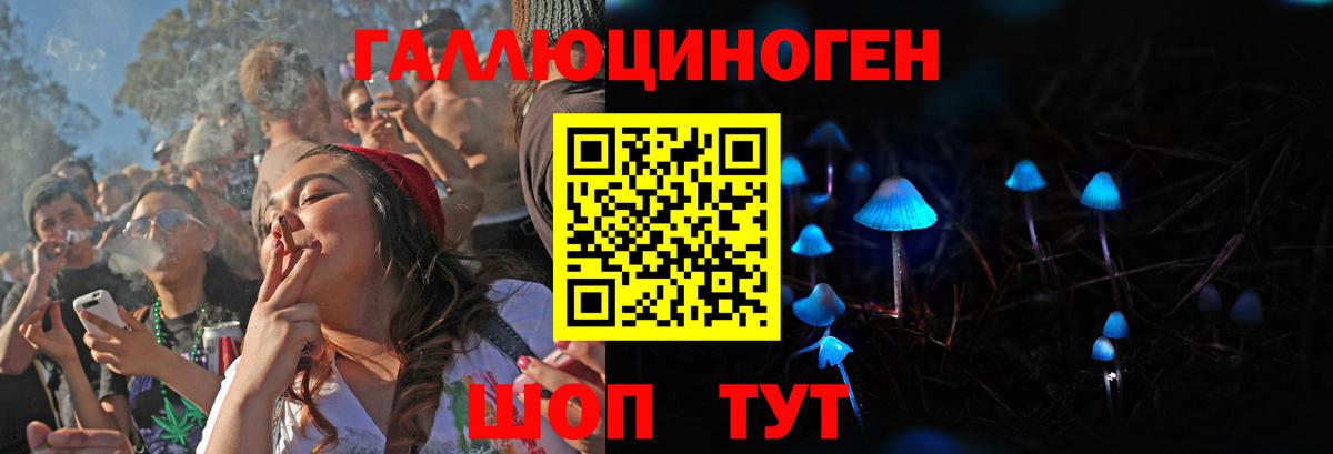 Галлюциногенные грибы Psilocybe Еманжелинск